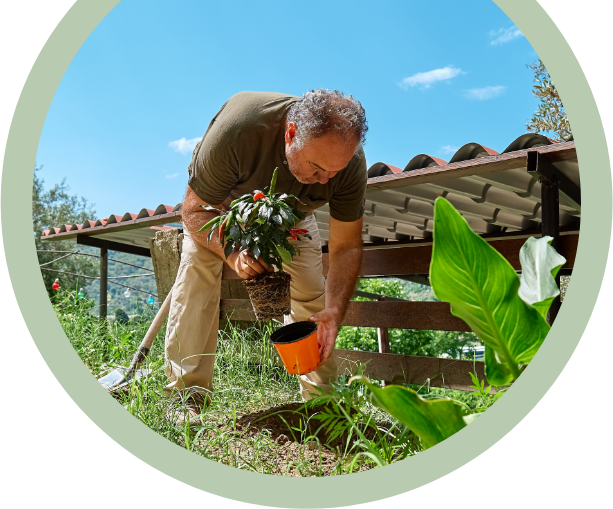 Hombre sonriente sembrando plantas al aire libre